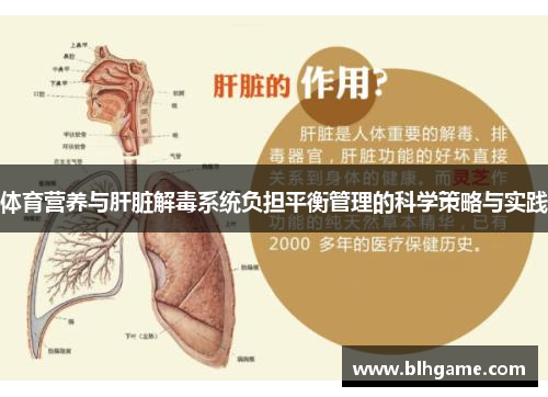 体育营养与肝脏解毒系统负担平衡管理的科学策略与实践